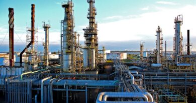 Na Refinaria Riograndense, tecnologia Petrobras transforma massa de eucalipto em combustível