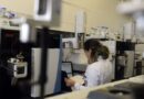 Com investimento de R$ 4 bi, Governo concedeu mais de 195 mil bolsas de estudo em 2024