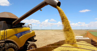 Puxado pela Agropecuária, PIB avança 1,4% no primeiro trimestre