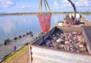Exportações da piscicultura batem recorde no 1º trimestre de 2025