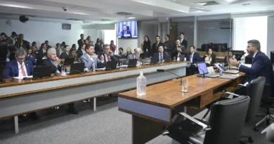 Pedido de vista adia votação da Política de Minerais Críticos Pedido de vista adia votação da Política de Minerais Críticos