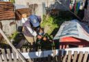 Pelotas: Casos de dengue sobem para 19