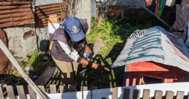 Pelotas: Casos de dengue sobem para 19