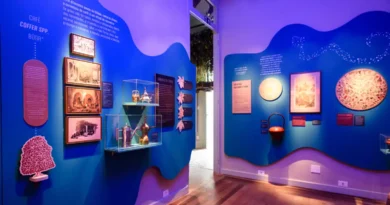 Exposição O Tempo das Plantas propõe troca cultural e desaceleração