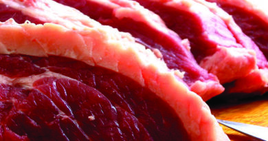 Gazeta Rural: Pesquisadores desenvolvem metodologia para identificar carnes de diferentes espécies