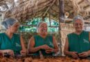 Biocosméticos unem ciência e tradições ribeirinhas no Oeste do Pará Biocosméticos unem ciência e tradições ribeirinhas no Oeste do Pará