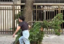 Meteorologia emite alerta de ventos de até 100 km/h no Rio
